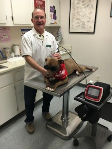 Dr. Livingston performing Laser Therapy