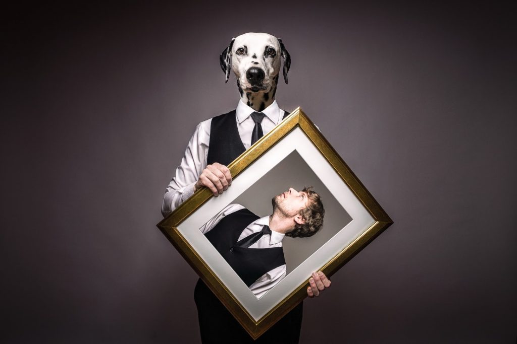 dog personalities human dalmatian