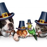 toxic food for pets thanksgiving