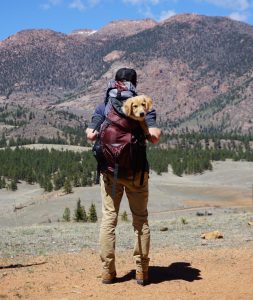 Hiker with a dog in his backpack