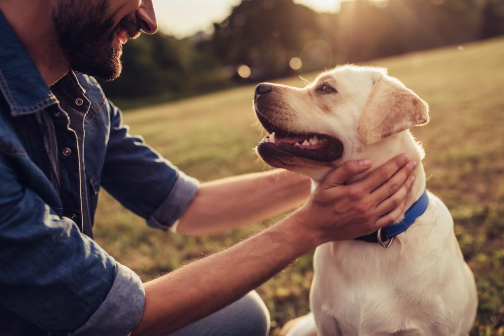 Man with Yellow Labrador dog