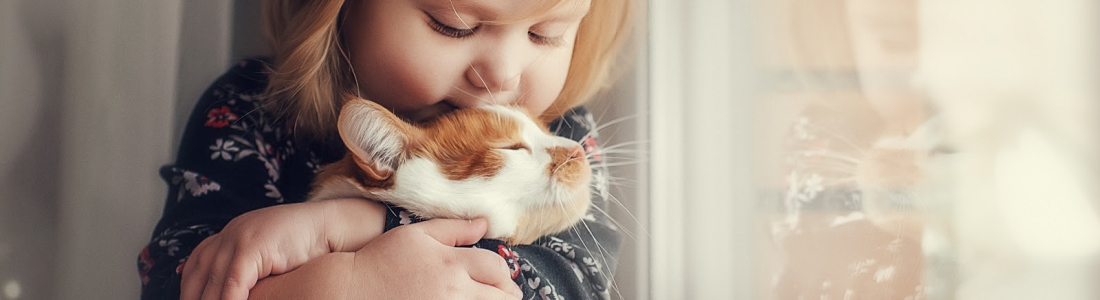 10 Signs Your Cat Loves You