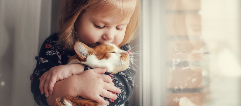 10 Signs Your Cat Loves You