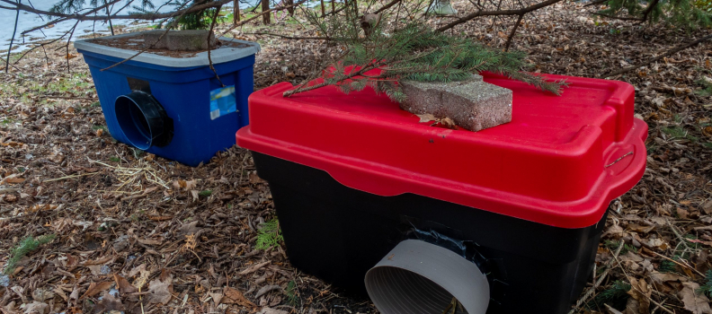 How to Build an Outdoor Cat Shelter: A Safe Haven for Feline Friends