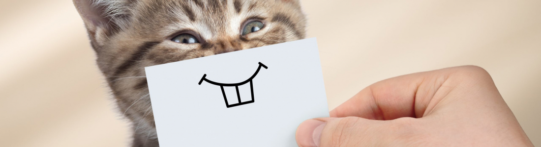 The ABCs of Pet Dental Care: Maintaining Healthy Smiles