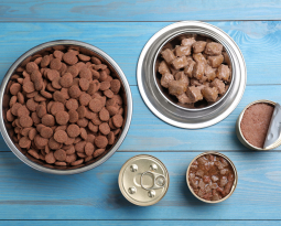 How to Choose the Right Dog Food: A Comprehensive Guide