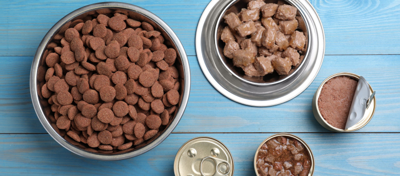 How to Choose the Right Dog Food: A Comprehensive Guide