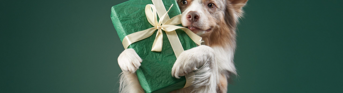 Gift Ideas for Pet Lovers