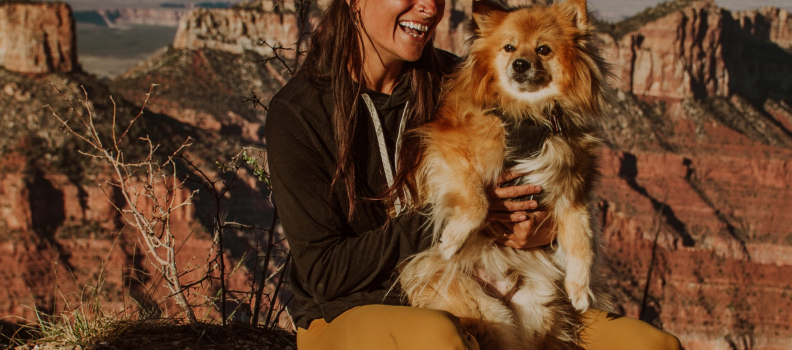 Best Dog-Friendly Hiking in Arizona