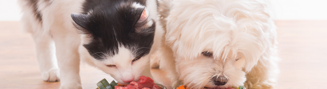 Pet Food Nutrition and More