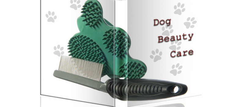 The Basics of Dog Care (Part Two)