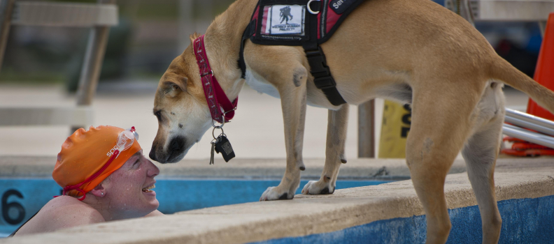 Service Dog Training: What Does it Take?