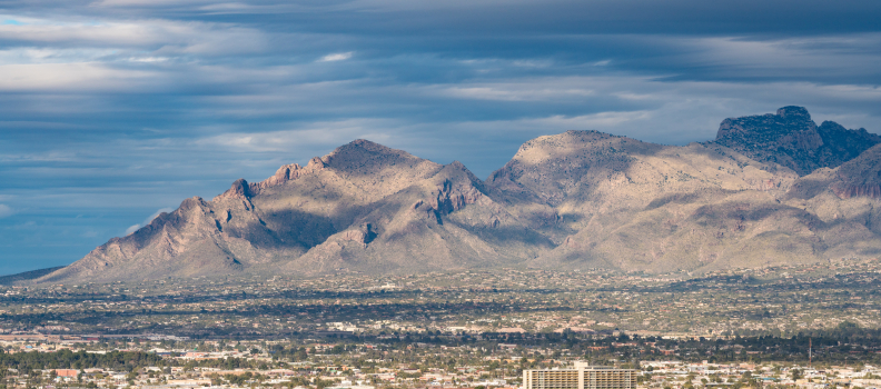 Keeping Your Pets Safe in the Sonoran Desert